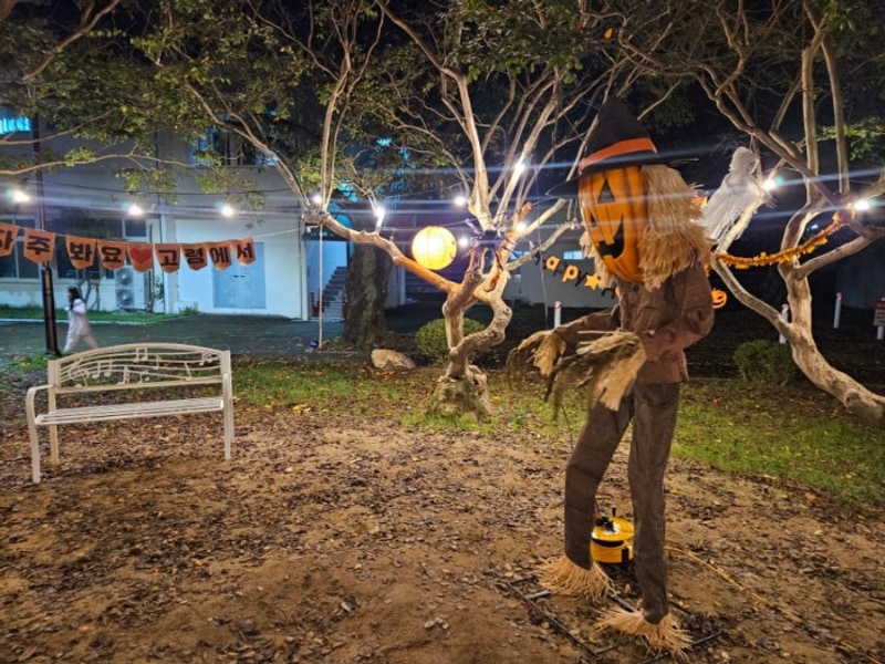 고령 안림딸기마을캠핑장에서 할로윈캠핑 후기 (feat.친환경...