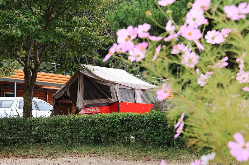 용화산테마파크 캠핑장 시설 사진 9