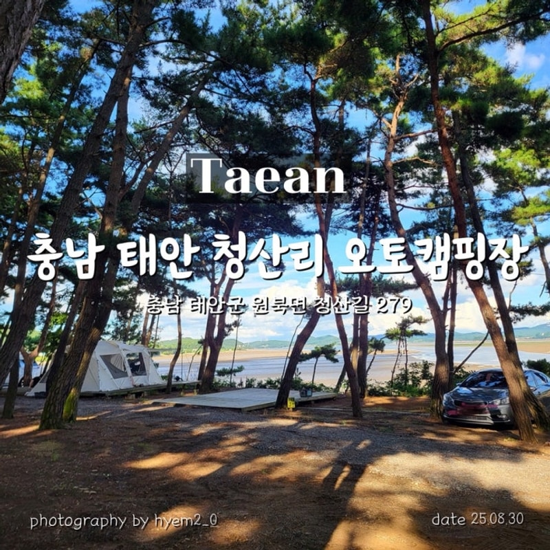 충남 태안 낚시,아이랑... 끝내주는 청산리 오토 캠핑장...