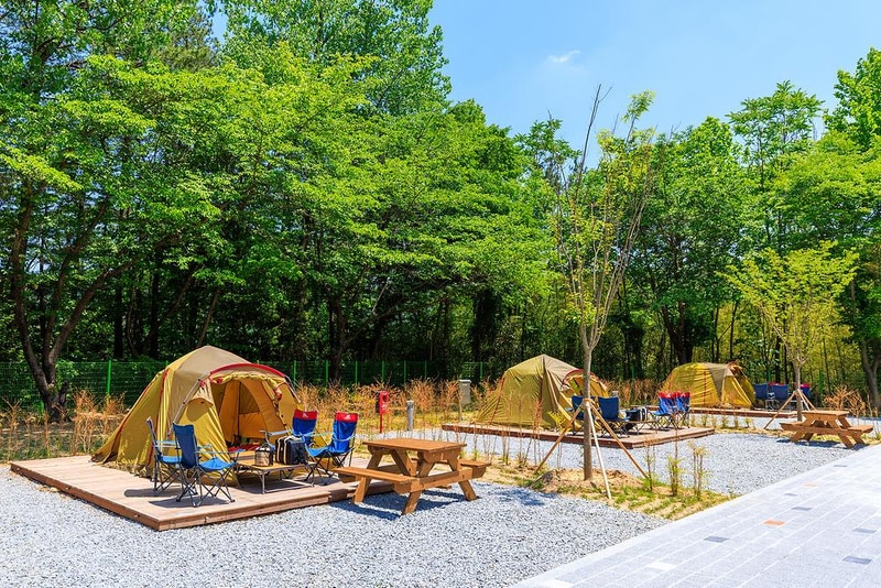 경상북도교육청김천오토캠핑장 시설 사진 15