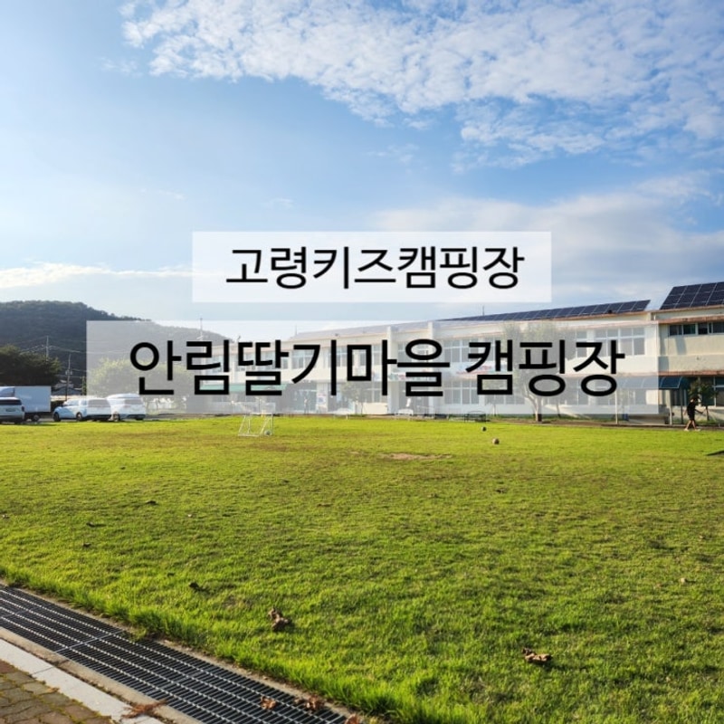 고령 키즈캠핑장 고령 안림딸기마을캠핑장 l 26번 예비3번...