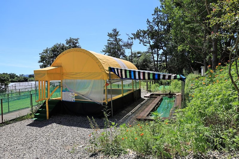 영암 글램핑 시설 사진 2