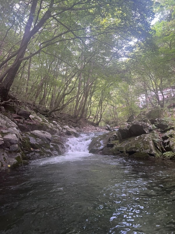 평창 산마을풍경 캠핑장 (개별화장실,계곡캠핑장,가족캠핑장...