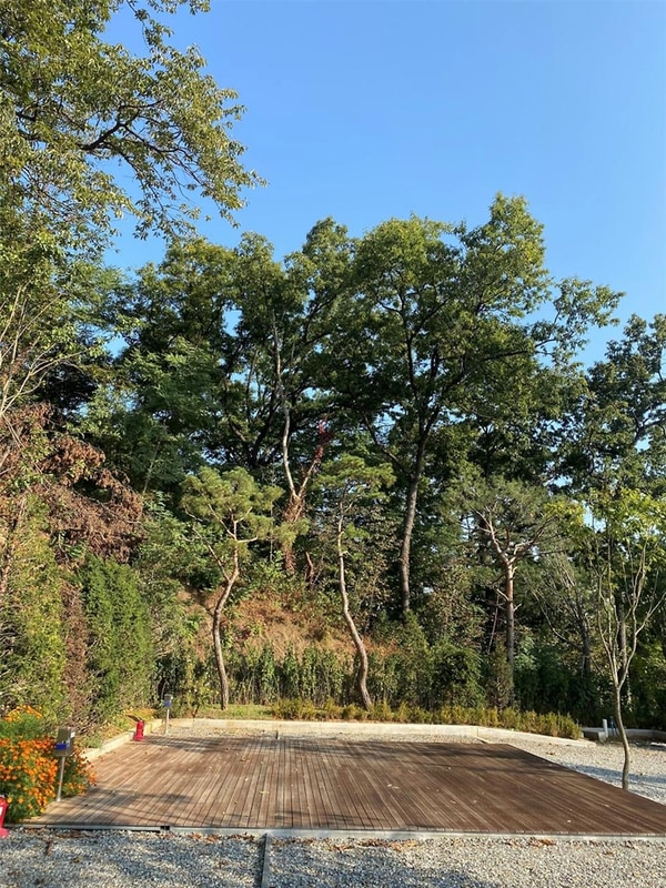 솔잎향캠핑파크 시설 사진 16