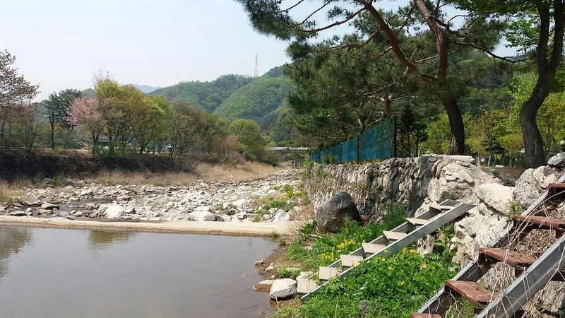 솔바람캠핑장 시설 사진 4