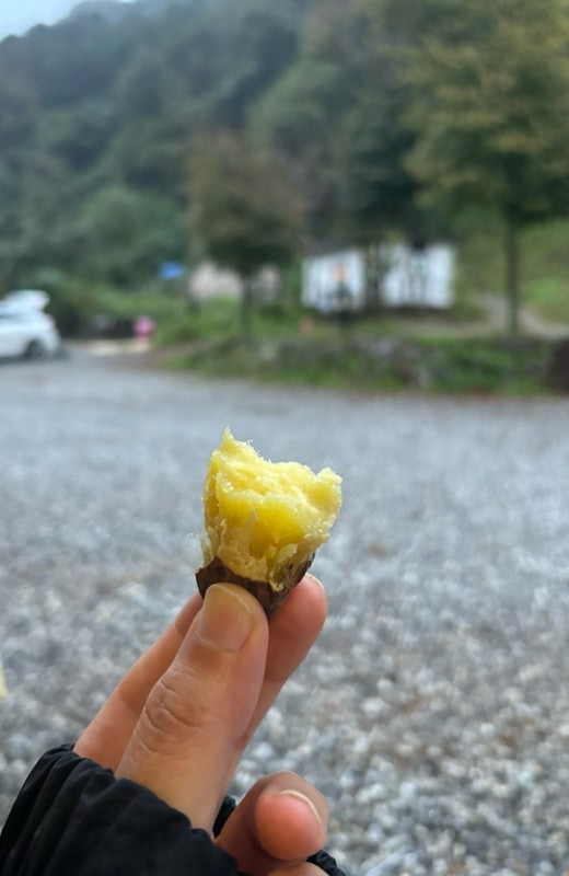 가평 몽리치캠핑. 글램핑