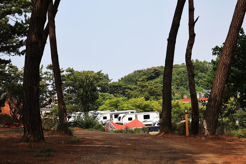 홀리데이캠핑파크 시설 사진 19