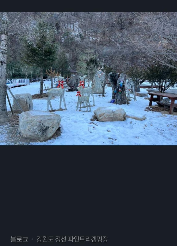 파인트리캠핑장 시설 사진 70