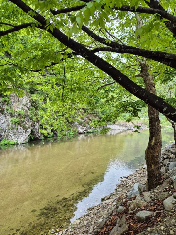 강원도 원주 봉바위돌집 캠핑장 /  원주 계곡 캠핑장 / 원주...