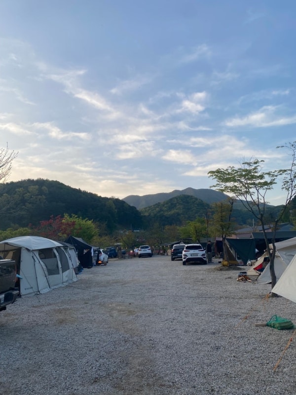 캠핑_애견동반가능캠핑장, 계곡 있는 캠핑장 포천그린별캠핑장