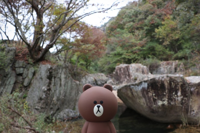 경북 상주 사찰 청계사, 청계사계곡, 청계정, 맑은개울캠핑장