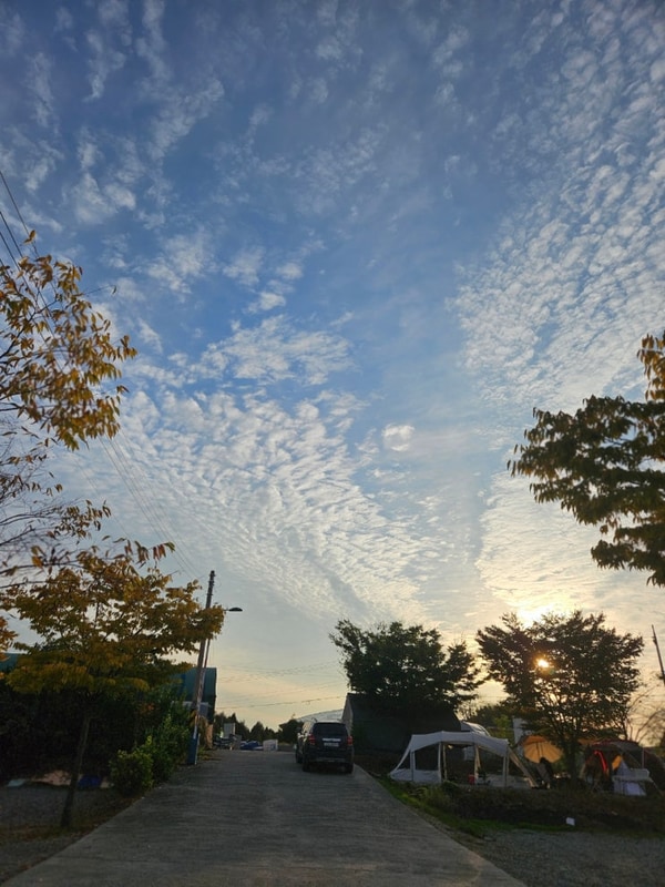다녀온 경기도 안산 대부도 바다의별 관광농원 캠핑장 후기