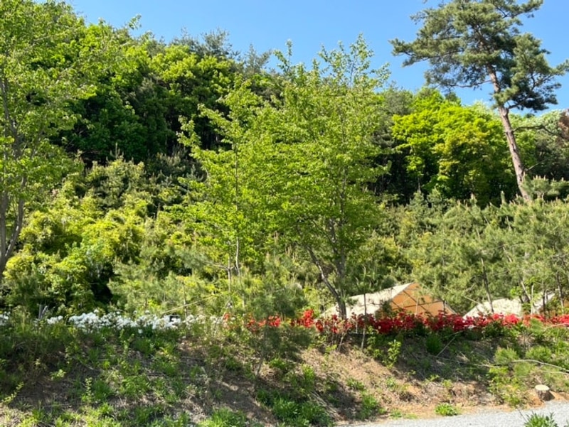 [안성]캠프그라운드 화우 5월 방문 후기 새로 생긴 깔끔한...