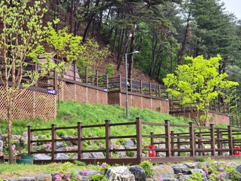 [강원도/평창] 저렴한 강원도캠핑장 - 평창국민여가캠핑장...