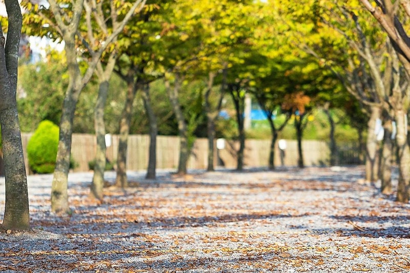 안면도마린오토캠핑장 시설 사진 14