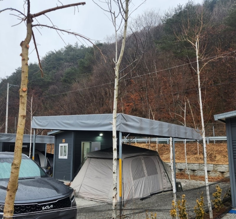 함양 자작나무뜰오토캠핑장 Review