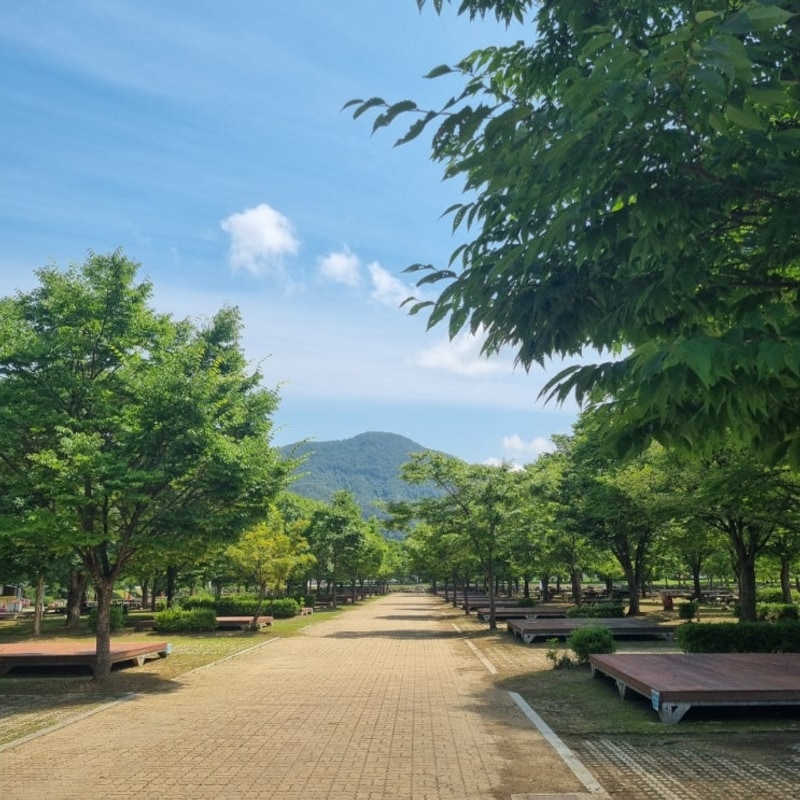 국내여행 가볼만한 곳 가평 자라섬 캠핑장
