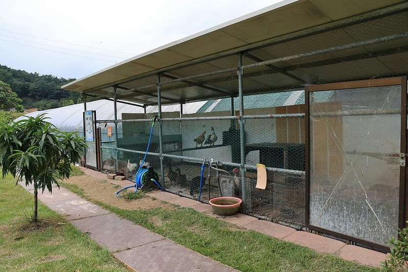 젤코바 캠핑장 시설 사진 15