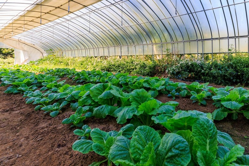 초롱별 야영장 시설 사진 6