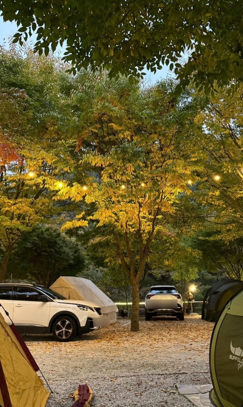 캠핑장 ep. 1 | 거창 '월성오토캠핑장'