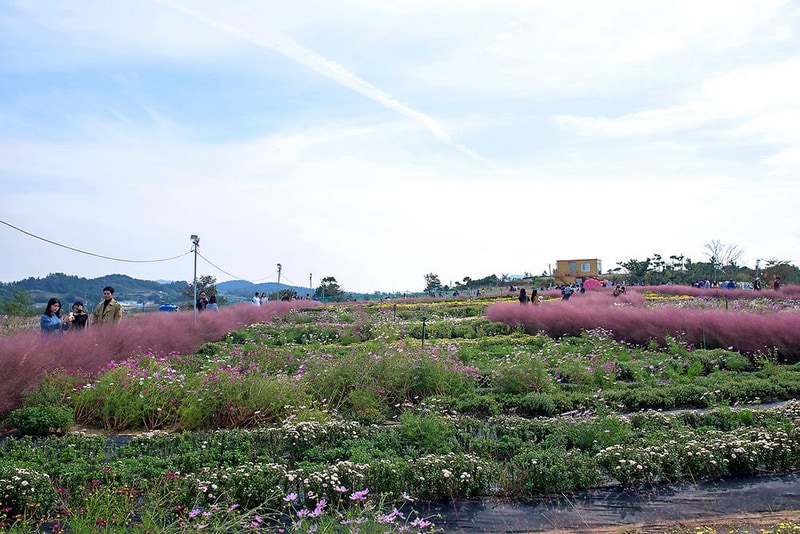 석양마을 주포 시설 사진 3