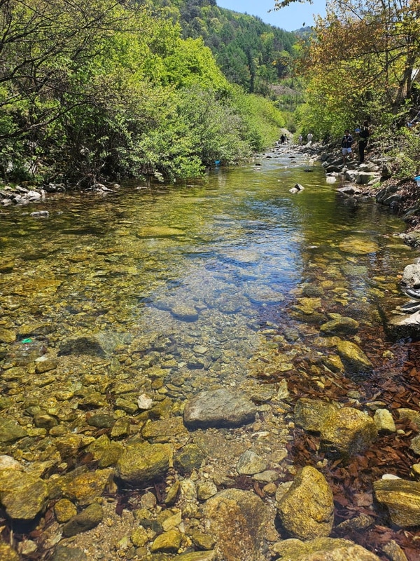 원주 산노리캠핑장 후기(25.5.3~5/2박3일)