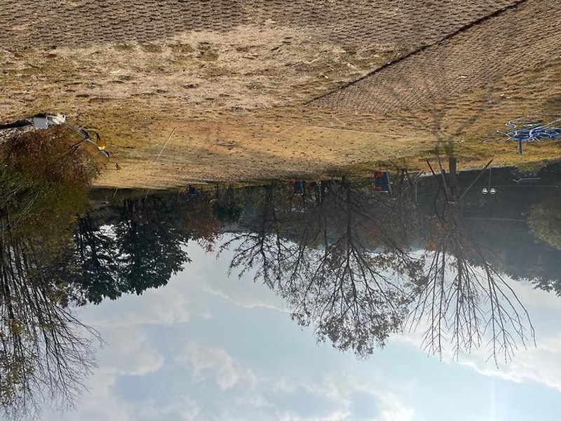 오숲도숲 대표 사진