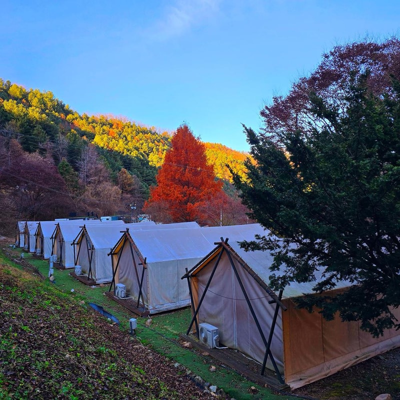 브루조아 시설 사진 13