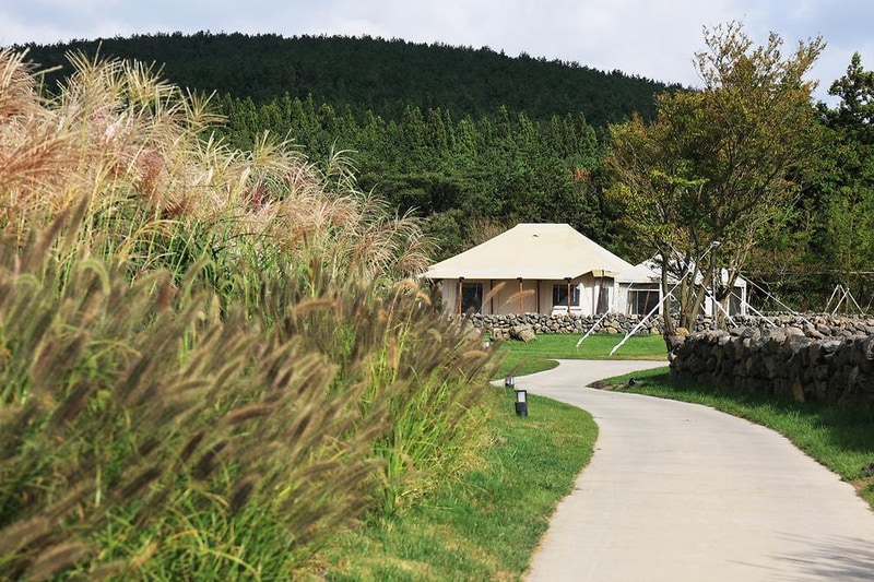 스타빌 시설 사진 2