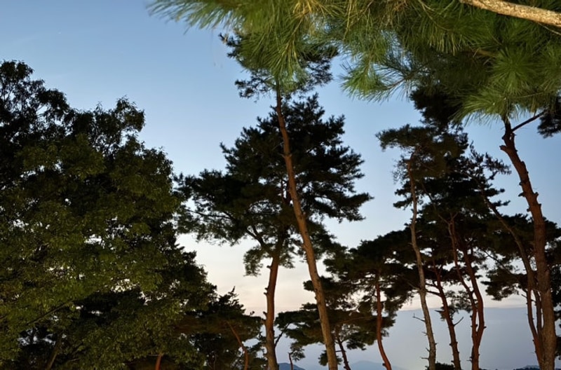 ‘괴산 솔베이 캠핑장 먹부림’과 ‘충북아쿠아리움’