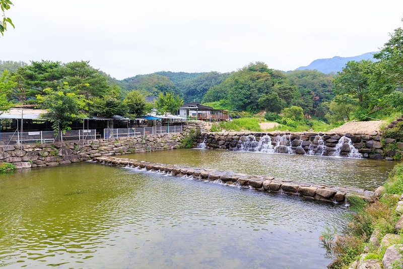 팔공 쉼터 야영장 시설 사진 11