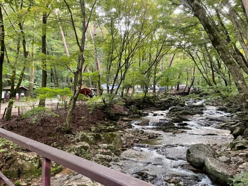 2025.10.09 가야산 삼정 야영장 당일 캠핑 + 해인사