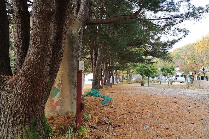 일영Star캠핑장 시설 사진 4