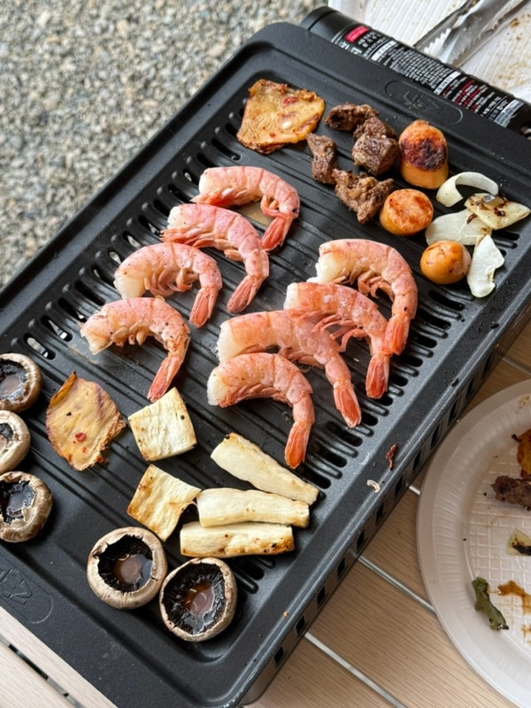 [청도] 대구 근교 시간제 글램핑 추천 :: 돌담숲