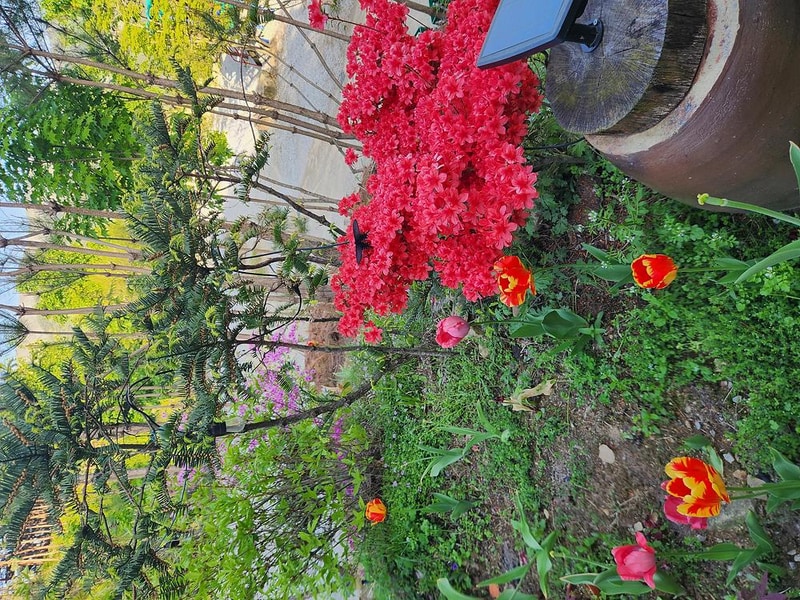 숲속애캠핑장 시설 사진 1