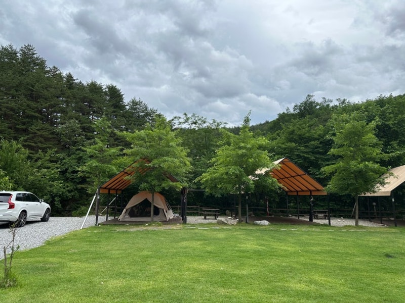 [캠핑] 양양 포레스트 캠핑장