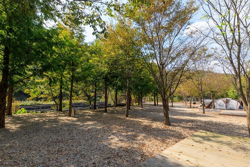 금산 자연 오토캠핑장 시설 사진 15
