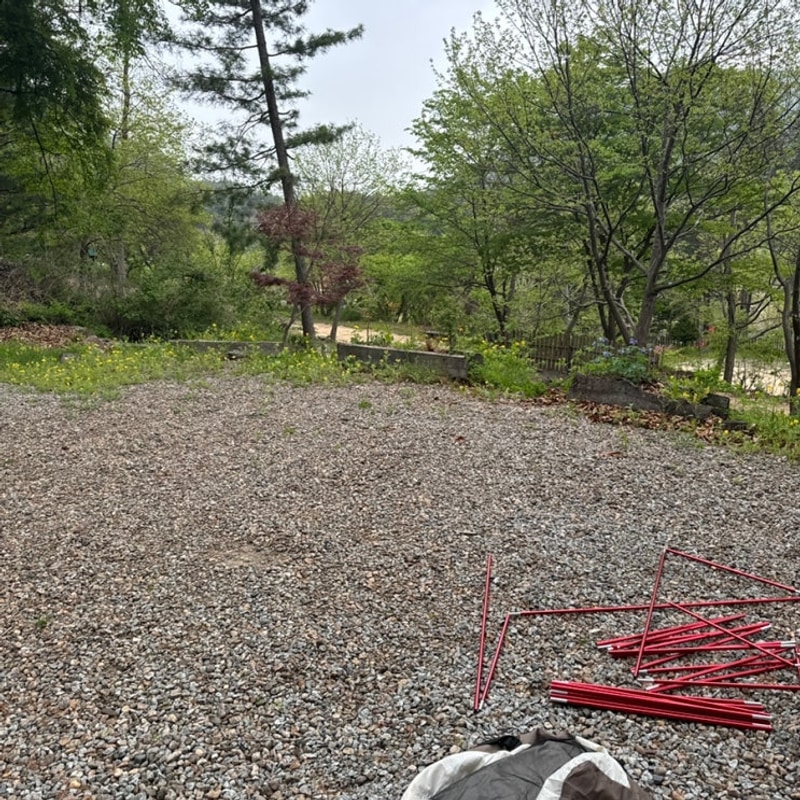 청량산나무네숲캠핑2박3일(낙엽송P사이트) : 경북봉화...