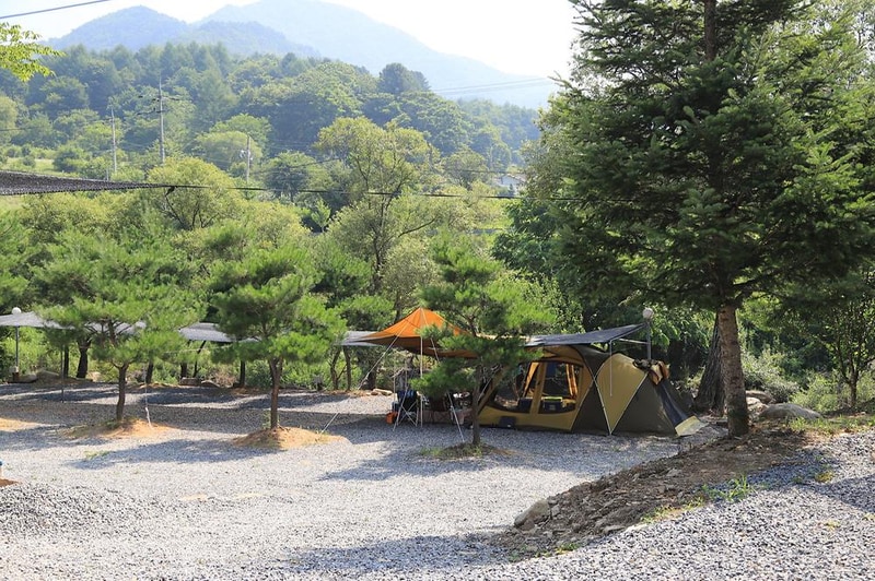 무릉도원 캠핑장 시설 사진 3
