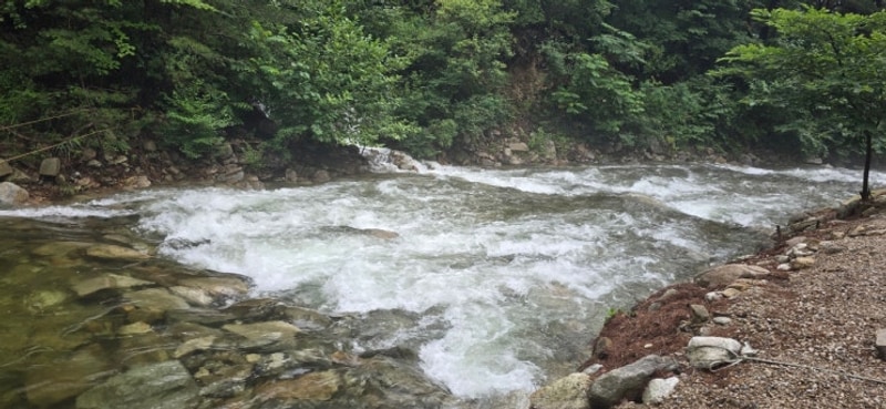 여름 계곡캠핑으로 "영월 캠프오어즈" 다녀왔습니다._25년...