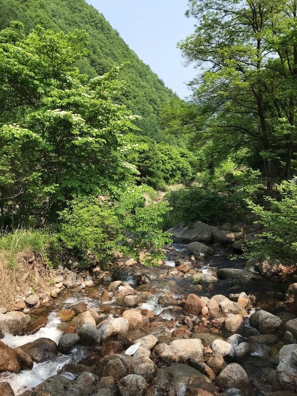 단양 천동계곡 캠핑장 그린농원 시설 사진 2