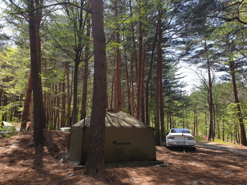 캠핑25. 강릉"노추산힐링캠프"캠핑장