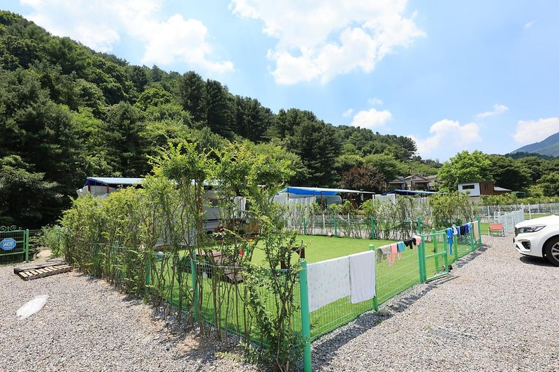 딩동댕캠핑장 시설 사진 6