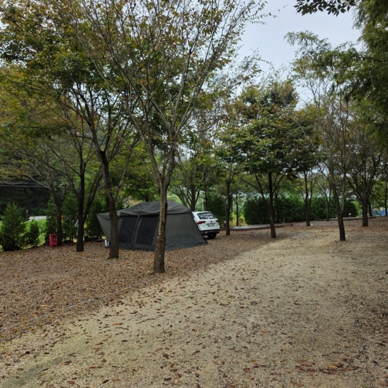 충남 금산 자연 오토캠핑장