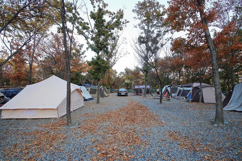 문복산 캠핑장 시설 사진 10