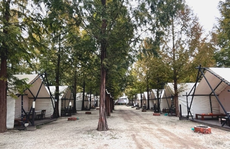 가평 플로렌스 글램핑 ‘놀면 뭐하니’ 캠핑장 내 돈 내산 솔직...