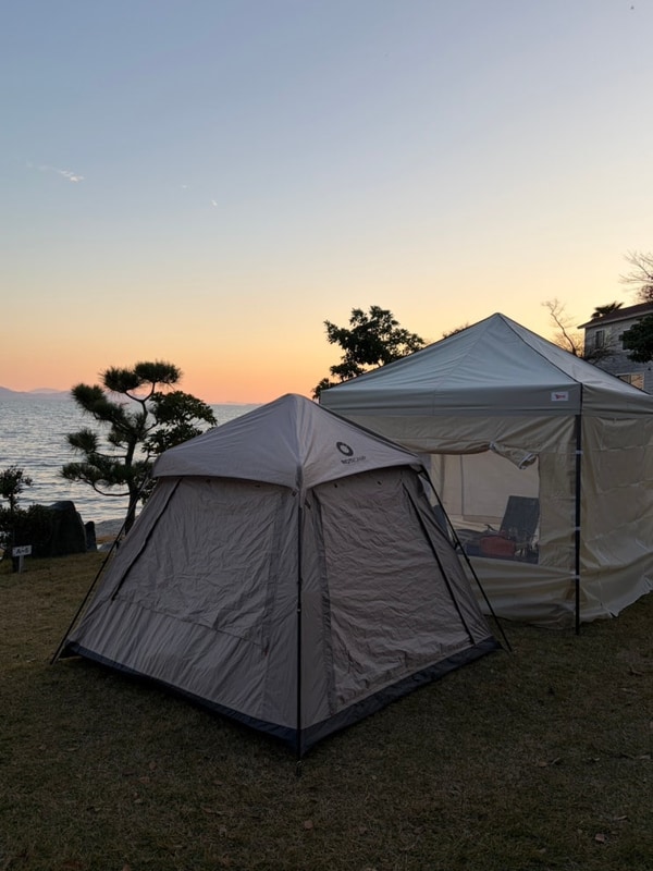 전남 애견동반 캠핑장 추천 [보성 지중해 캠핑 야영장] 다녀온...