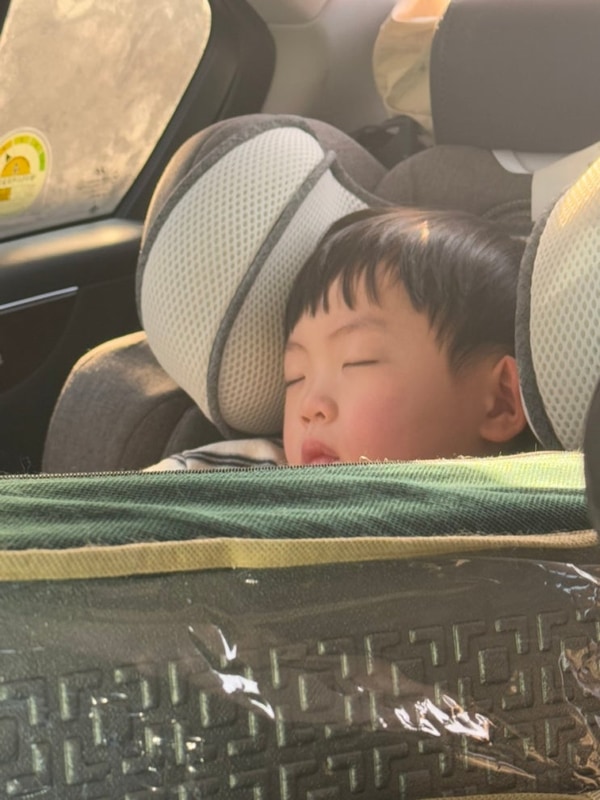 봉화 협곡 구비마을 산타캠핑장(백두대간 수목원, 분천산타마을)