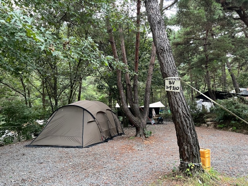 곡성 꿈꾸는캠핑장 309 사이트 리뷰, 광주 근교 가족 힐링캠핑