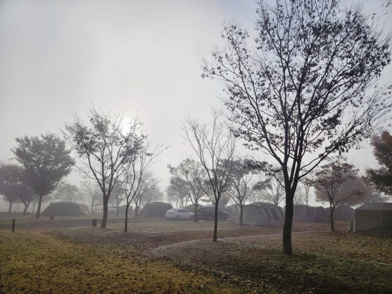 밀양아리랑오토캠핑장에서 가을캠핑 (수능완료 큰딸과)